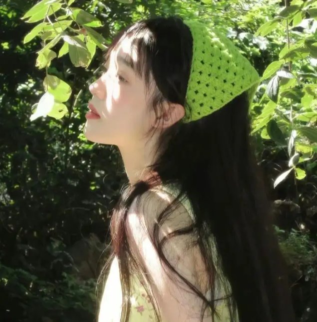 老妇与鸽子